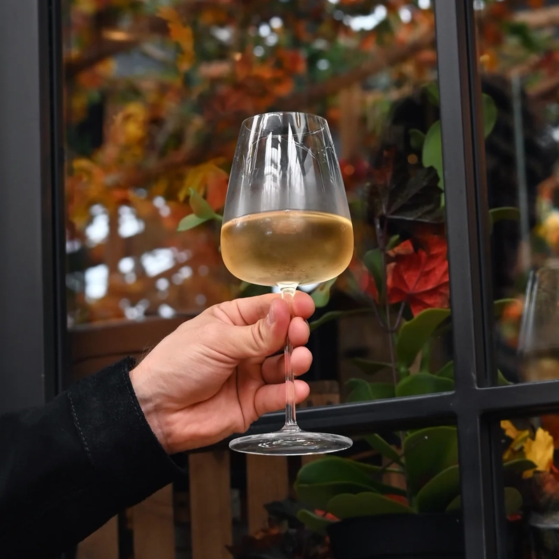 italian-premium-chardonnay-white-wine-glasses-18.5-oz-talismano-toko-gelas-grosir-merimelma